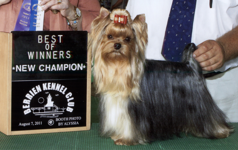 Champion Artistry's Able Bodied